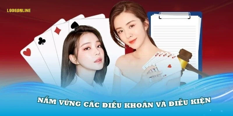 dinh-nghia-va-vai-tro-cua-dieu-khoan-dieu-kien Định nghĩa và vai trò của điều khoản điều kiện